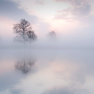 亚洲成年女人AV毛片性性教育
